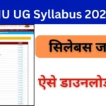 LNMU UG Syllabus 2024-28