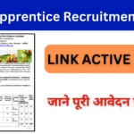 RCFL Apprentice Recruitment 2024